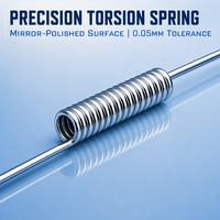 Service de ressorts de torsion sur mesure, fournisseur de ressorts hélicoïdaux en acier inoxydable