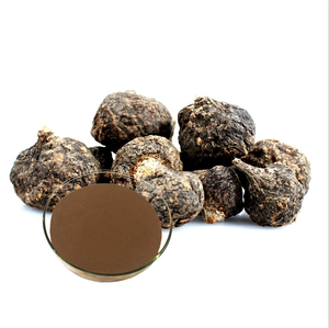 Longze Supply 100% ブラウンイエローファインパウダーピュアマカパウダー (添加物なし) - Product Image 4