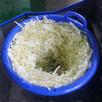 Industriële roterende ontwateringsmachine, automatische centrifugale droger, roestvrijstalen fruit- en groentedroger voor voedingsfabrieken