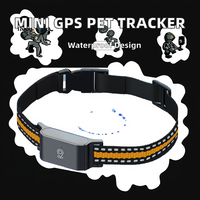 Localisateur d'animaux de compagnie, mini collier GPS, étanche IP67, suivi 4G GPRS, anti-perte, chiens, chats, stockage en nuage, plastique, autonomie de la batterie de 30 heures