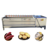 Fabrieksuitverkoop: Automatische aardappelwas- en schilmachine op maat