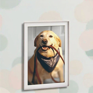 Qumazhu Promotion Cadre Photo Pliable Moderne en MDF avec Empreinte de Patte de Chien, Imprimé 3 Couleurs, Cadeau de Condolences, Souvenir Commémoratif pour Animaux de Compagnie - Product Image 3
