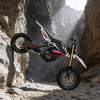 Batterie au lithium pour moto électrique Surron pour les trajets d'aventure Surron Hyper Bee
