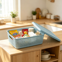 Panier de rangement en plastique épais multi-usages avec poignées, bac organisateur pour collations, jouets, articles divers, panier de rangement ménager