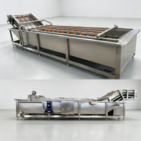 Automatische fruit- en groentewasmachine met belletjes voor appels, gember, zeevruchten, champignons en voedselverwerkingsbedrijven