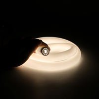 Bande LED néon flexible ronde en silicone étanche IP67 RGB 360 degrés, colorée, dimmable, CRI 90 élevé