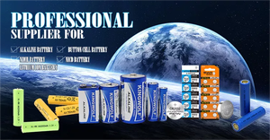 Paquete retráctil individual Super Power 6f22 6LR61 9V 950mAh Batería alcalina personalizada para alarma de humo - Product Image 5