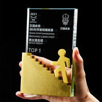 Plaque de récompense en cristal inspirante pour la conquête de sommets, Trophée d'honneur TOP1 pour événements sportifs pour enfants