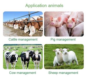 Lector de etiquetas de oreja de antena ISO11784/5 HDX FDXB ganado de largo alcance Panel grande RFID cerdo ganado <span class=keywords><strong>vaca</strong></span> granja cría lechera caminar pasado - Product Image 6
