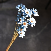 Vente en gros de fleurs artisanales de haute qualité en graines de tournesol véritables pour mariage, Noël, la Saint-Valentin, décoration intérieure, bricolage, fleuriste, sur mesure