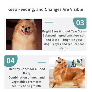 מותאם אישית מזון יבש מזון כלבים יבש עבור המותג שלך - Product Image 6