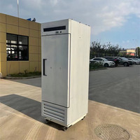 Congélateur à blast vertical à double porte en acier inoxydable 360L pour viande, congélation rapide, congélateur à blast pour légumes 2022