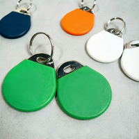 Llavero RFID Personalizado TK/EM 4100 125KHz, Anillo Inteligente para Control de Acceso, Etiqueta Inteligente