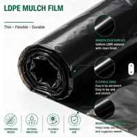Film de paillage agricole noir pour le réchauffement du sol, la rétention de l'humidité et la culture de légumes en serre