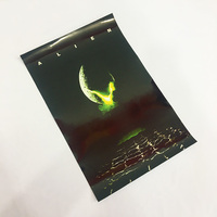 Özelleştirilmiş Yüksek Çözünürlüklü Dijital Baskı A4 Anime Lentiküler Tablo Animasyon Resimleri Filmler Fotoğraf Kağıdı Posteri
