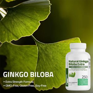 OEM personalizable extra fuerte vegetariano Ginkgo Biloba cápsulas suplemento natural para mejorar la función cerebral memoria adultos - Product Image 4