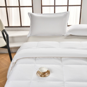 Ensemble <span class=keywords><strong>de</strong></span> couette moderne quatre saisons, garnissage en fibres synthétiques douces, tissu microfibre cardé, 1 couette, <span class=keywords><strong>2</strong></span> <span class=keywords><strong>oreillers</strong></span>, vente en gros - Product Image 1