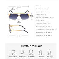 2023 Lunettes de Soleil Pas Chères Mode Vintage Tête de Léopard Double Pont Élégantes Sans Monture Protection UV400 pour Femme