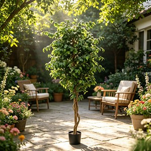 Artificial Ficus Pandurata Plants-Factory Direct for Indoor/Outdoor Decoration - Product Image 5