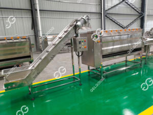 เครื่องปอกมันฝรั่งขิงอัตโนมัติเต็มรูปแบบโรงงานแปรรูปผักความยาวลูกกลิ้ง1000มม. - Product Image 2