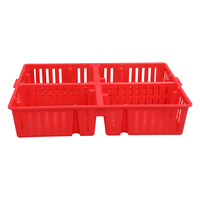 Cage de transport pour poussins d'un jour avec couvercle, en plastique à surface lisse et ventilée, avec logo personnalisé