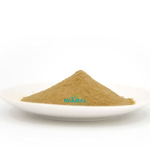 工場在庫証明書最高品質の白いヤナギ樹皮エキス98% サリシン白いヤナギ樹皮エキス粉末 - Product Image 2