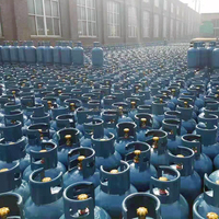 Matrice de poinçonnage progressive en acier métallique personnalisée, pièces de poinçonnage professionnelles pour la production d'anneaux de protection de bouteilles de gaz GPL