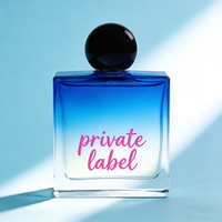 Parfum de Cologne pour homme de luxe, senteur boisée, 100 ml, vaporisateur longue durée, parfum de créateur personnalisé pour un usage quotidien