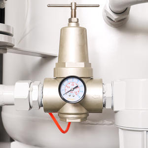 יאנגטיאן מכונה לייצור O2 לחוות דגי שרימפס בלחץ גבוה PSA מחולל חמצן לשימוש בחקלאות מים - Product Image 5