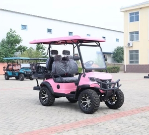 Voiturette de golf tout-terrain électrique robuste 2+2 places avec batterie au plomb/lithium et autonomie de 50-70 km - Product Image 6
