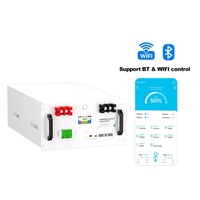 Batterie LiFePO4 51,2V 300Ah en rack séparé 15,36 kWh pour stockage d'énergie solaire domestique avec BMS 200A CAN/RS485 10,24 kW de crête UN38.3