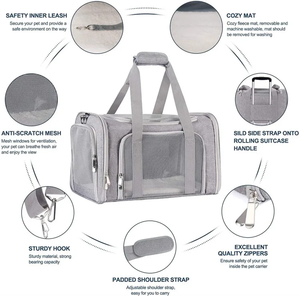 Tas Kucing Baru Portabel Sederhana Tas Selempang Pengangkut Hewan Peliharaan Kandang Anjing Luar Ruangan Bernapas Lipat Ransel Kucing - Product Image 3