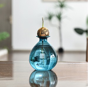 <span class=keywords><strong>Vase</strong></span> en verre hydroponique en forme d'<span class=keywords><strong>avocat</strong></span> japonais <span class=keywords><strong>Vase</strong></span> de plantation spécial pour graines Noyau de fruits Conteneur hydroponique <span class=keywords><strong>Vase</strong></span> coloré - Product Image 5