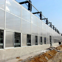 Grande serre intelligente en polycarbonate pour la production hydroponique de légumes avec système de contrôle climatique
