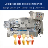 Automatische industriële sappersmachine voor geperste appel, peer, ananas, guave; geschikt voor sap- en drankenproductiefabrieken