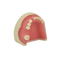 Modelo de enseñanza de práctica de implantes dentales