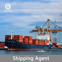 China shipping agent из Шэньчжэня Шанхай Прямая поставка США DDP сервис по морю
