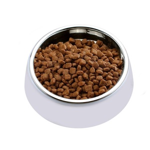 Tazón Personalizado para Mascotas con Sublimación DIY y Tazón de Acero Inoxidable - Product Image 4