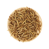 Offre Spéciale Verses de Blé Séchées Biologiques Sans OGM, Sans Sucre, Riches en Protéines, Faibles en Glucides, Enrichies en Vitamines et Minéraux, Sac de 5KG, Friandises pour Oiseaux et Hamsters