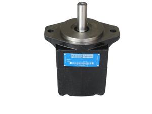 Parker pompa idraulica a palette T7 T7DS Denison <span class=keywords><strong>Servo</strong></span> pompa T7DS-038-1L00-FM T7DS-066-2R00-WD T7DS-072-1R00-M537 T7DS-042-1R00-HV - Product Image 2