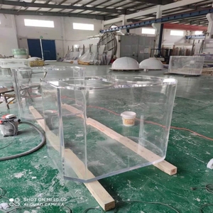 Bể Thủy Tinh Nuôi Cá Bằng Acrylic Cấu Trúc Vòm Lớn Nước Muối Cho Thủy Sinh - Product Image 4
