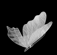 LANJO 1M Support de toile de fond pour événements, mariage, avec éclairage LED papillon en acier inoxydable, romantique, moderne et élégant