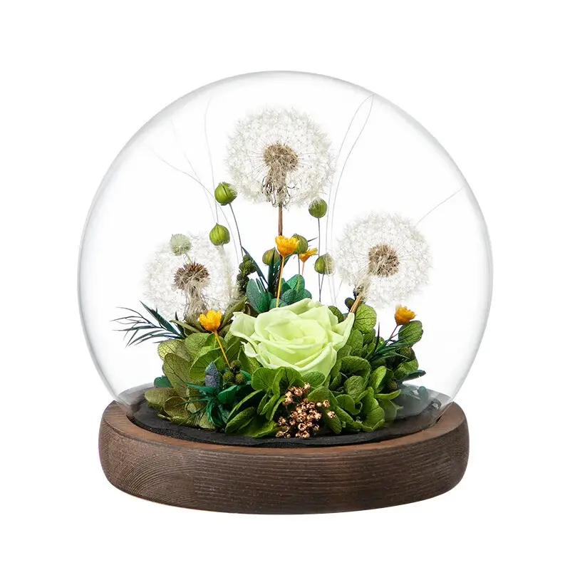 Dandelion Themed Dried Flower Gift Preserved in Glass Dome Christmas Valentine's Day Mother's Day Graduation New Year