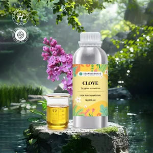 Biologische Kruidnagel Etherische Olie Voor Haargroei, Tanden-100 Puur Natuurlijke Syzygium Aromaticum Knop Extract | Groothandelsprijs, Bulk 1Kg