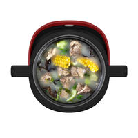 Cuisinière à riz électrique portable 2L en plastique, double usage voiture et maison, 12V/24V/220V pour voiture, camion, camping-car, voyage, camping