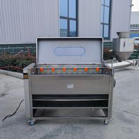 Borstelrol Cassave Reinigingsmachine Fruit Groente Wasmachine Elektrische Gember Aardappel Was- en Schilmachine