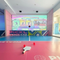 Indoor-Pickleball-Trainingsausrüstung AR-Projektions-Pickleball-Simulator Metallkonstruktion für Kommerzielle Unterhaltungsorte