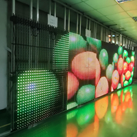 Pantalla LED 3D Transparente e Impermeable de Fácil Instalación para Escaparates, Módulos de Rejilla para Ventanas de Compras, Publicidad en Ascensores
