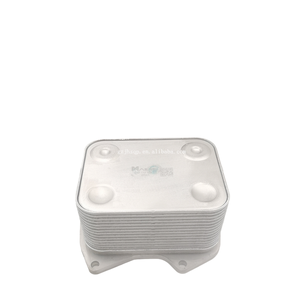 Bộ làm mát dầu động cơ chất lượng cao 077117021p cho VW Touareg 4.2L V8 2002-2010 077 117 <span class=keywords><strong>021</strong></span> <span class=keywords><strong>P</strong></span> - Product Image 1