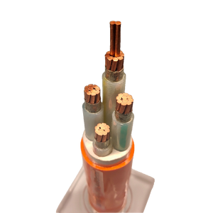 สายไฟฟ้าหุ้มฉนวนแร่ธาตุอินทรีย์แกนทอ<span class=keywords><strong>ง</strong></span>แด<span class=keywords><strong>ง</strong></span> หุ้มด้วยทอ<span class=keywords><strong>ง</strong></span>แด<span class=keywords><strong>ง</strong></span> ทนไฟ แบบยืดหยุ่น NG-A 0.6/1KV - Product Image 1